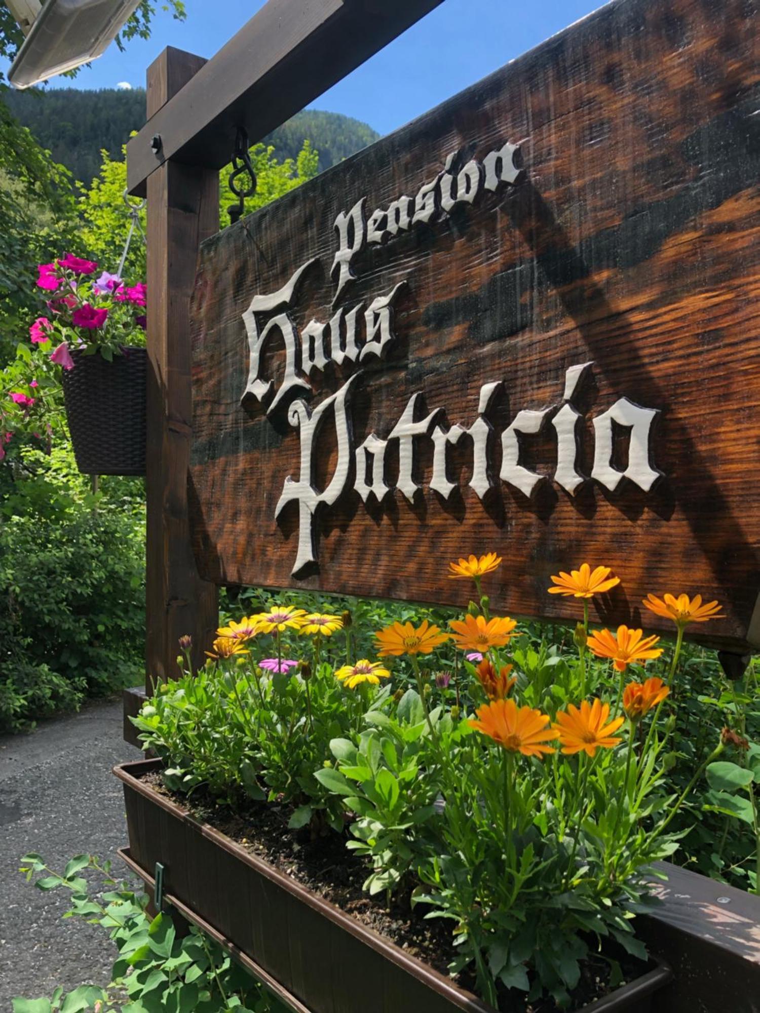 Hotel Haus Patricia Lofer Exterior foto
